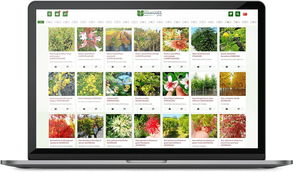 BİTKİ KATALOGU web sitesi tasarımı